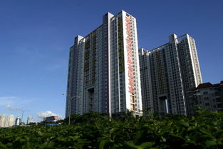 惠州市花样年房地产开发 城市变迁的见证者与推动者