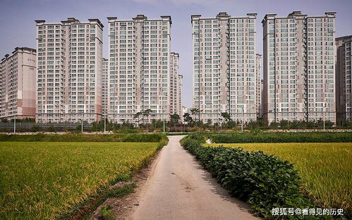 从“庄稼”到城市 韩国汉城房地产开发的狂飙与反思