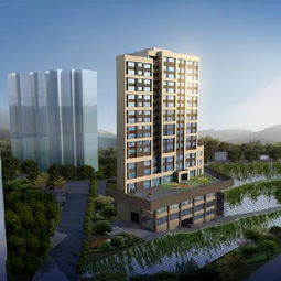 重庆市房地产开发网项目详情查看指南